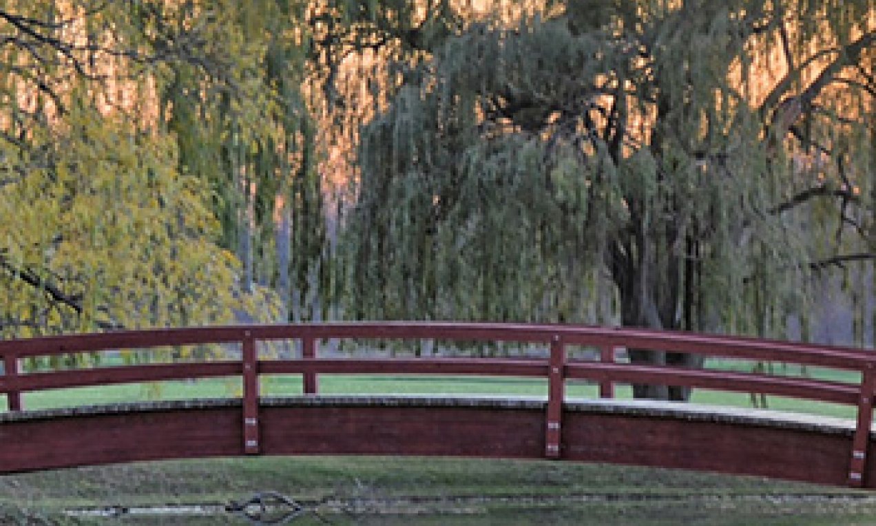 Northeast College campus bridge