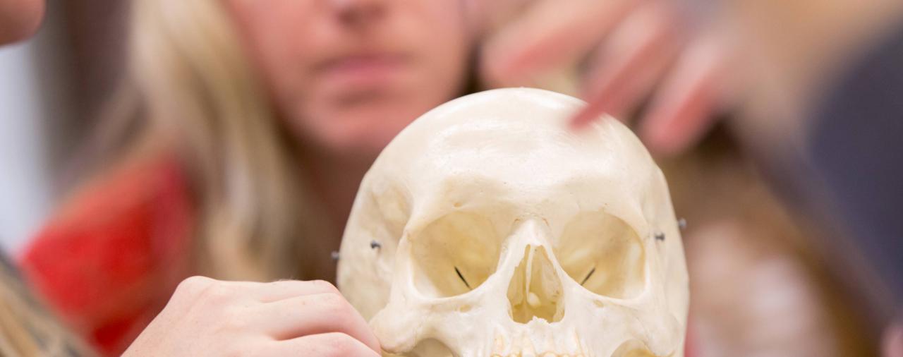 a hand touching a human skull