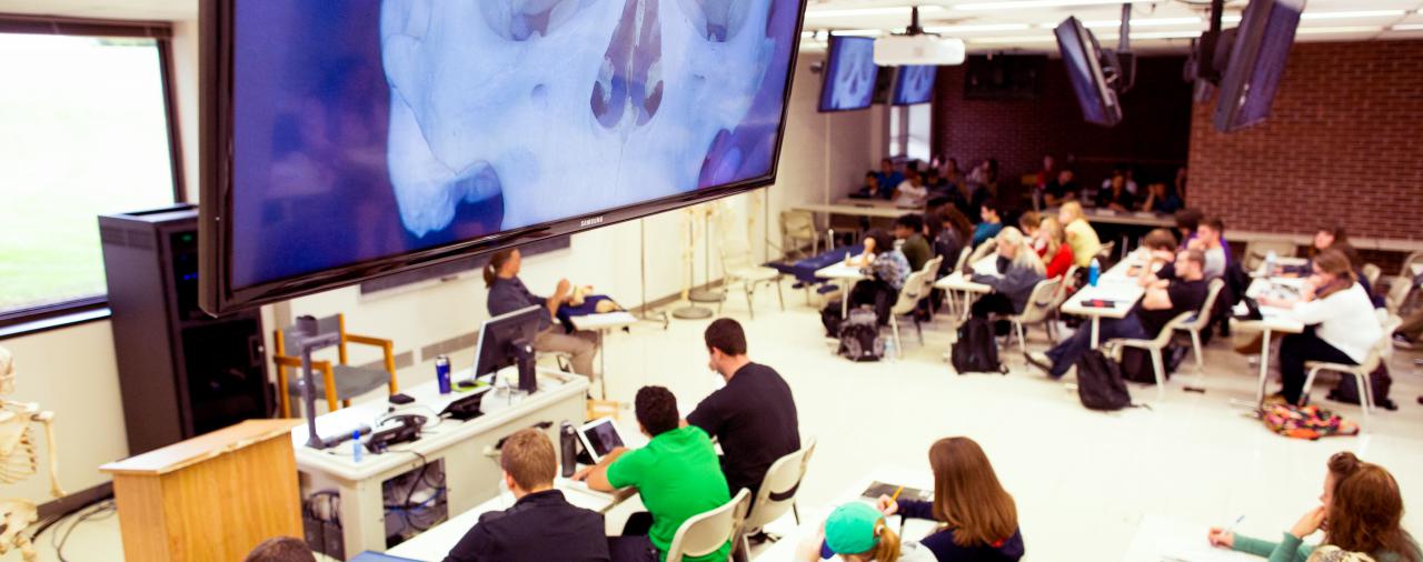 Students looking at a diagnostic image