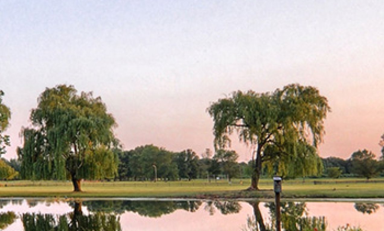 Northeast College campus pond and trees