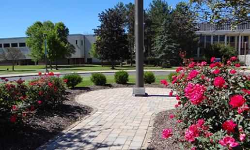Northeast College's Legacy Circle surrounded by plants