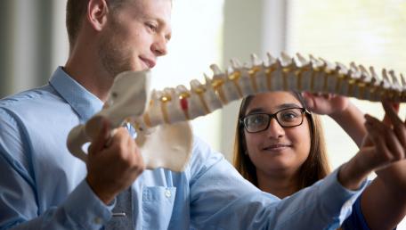 Students studying a model spine