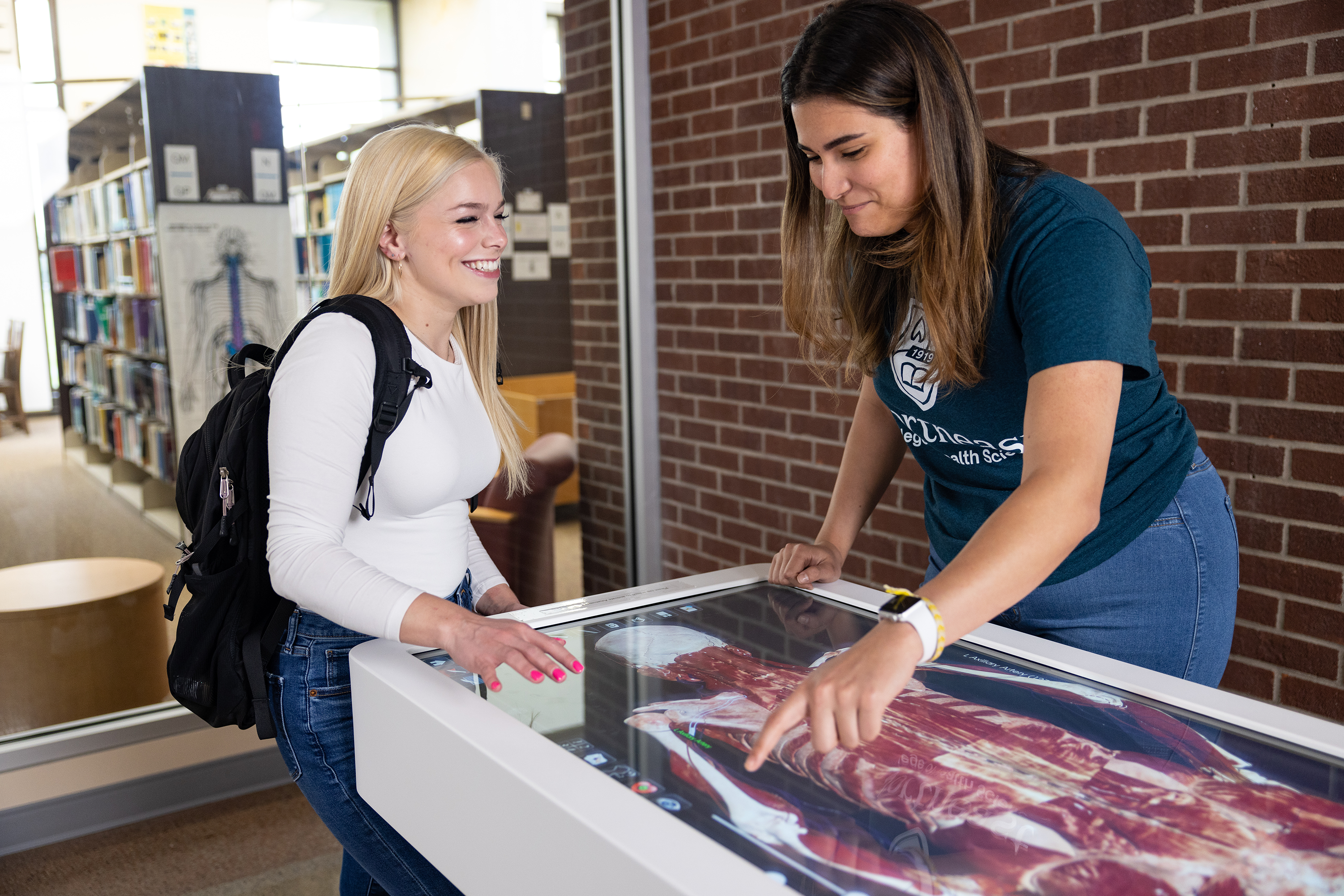 students working together at the anatomage table